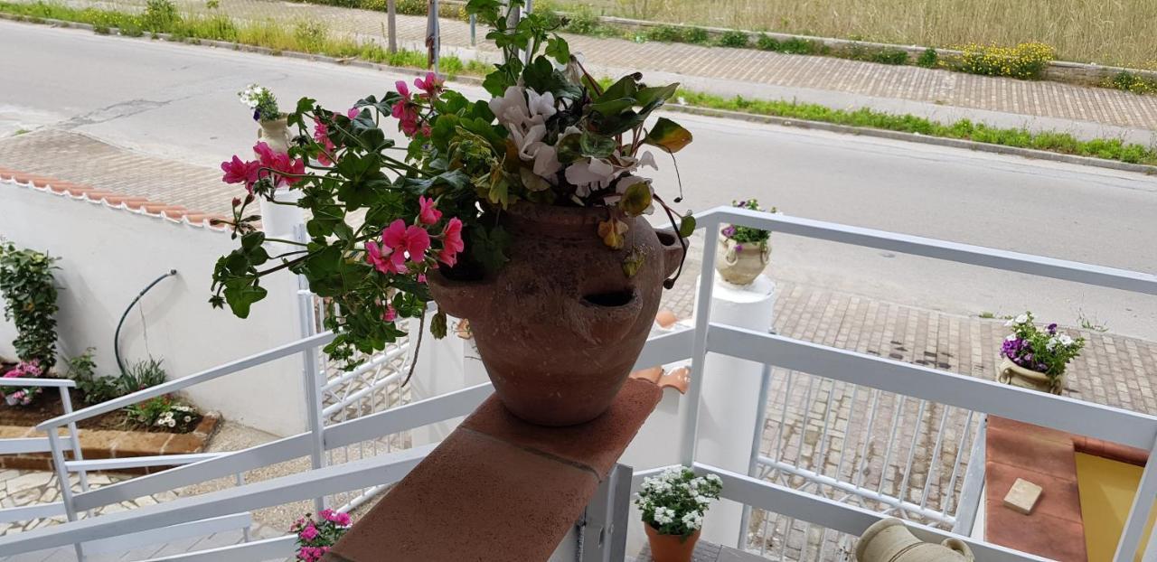 Mari En Bed and Breakfast Castel Volturno Εξωτερικό φωτογραφία